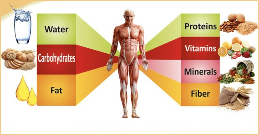 Vegan Man Body